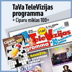 TaVa programma
